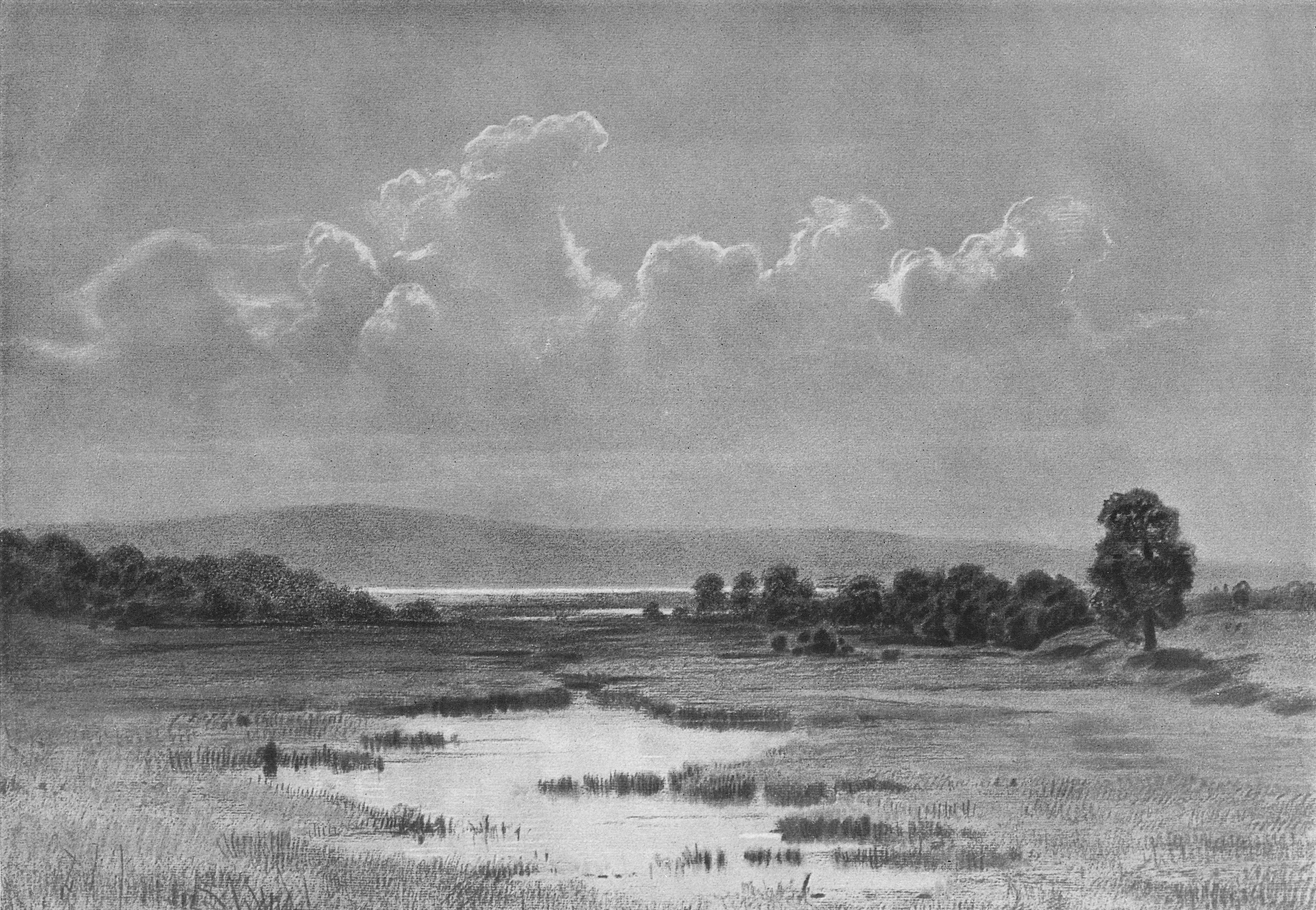 Шишкин болото 1884