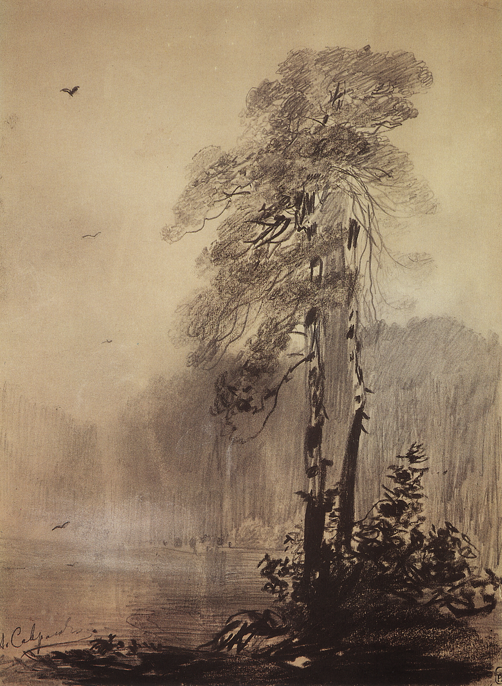 Алексей Саврасов. Пейзаж с сосной. 1854